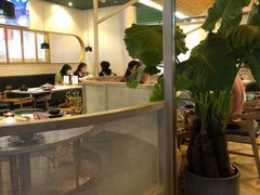 -狐狸爱上椰子鸡(金地广场店)