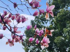 -七宝老街-闵行市民文化广场