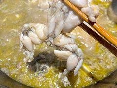 -石锅苗苗鱼(武汉首店)