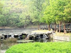 -白水寺森林公园