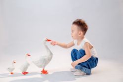 -小熊维尼高端儿童摄影(宝安旗舰店)
