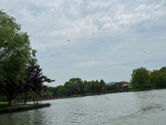 -苏州太湖国家湿地公园