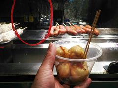 -锦江乐园舞狸花花游园会(夜场专享)