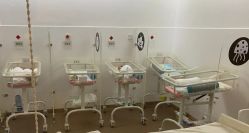 -海豚湾高端月子会所(黄浦店)