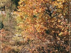 -昆嵛山石门里景区