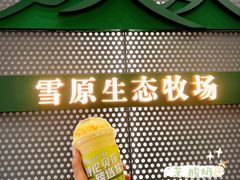 -茉酸奶(春熙路店)