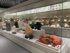 -北京中医药大学-中医药博物馆