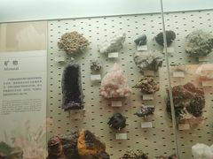 -浙江自然博物院(杭州馆)