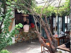 -喵屿·大理花园猫咖