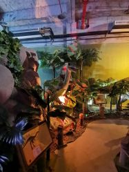 -恐龙探索乐园(磁器口店)