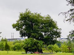 -繁塔