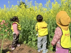 -宾果蒙特梭利托育儿童之家幼儿园(爱琴海店)