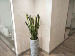 -美最美健康管理中心