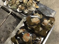 -会江钓鱼钓虾烧烤场