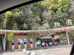 -南山植物园