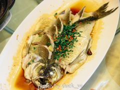 -千岛湖品鱼馆(钓鱼岛店)