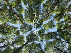 -山王坪喀斯特国家生态公园