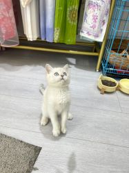 -棠莳旅拍汉服体验馆