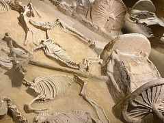 -洛阳周王城天子驾六博物馆