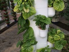 -北戴河集发农业梦想王国