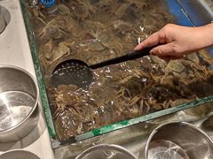 -星伦多自助料理·涮烤一体(杭州来福士店)