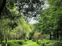 -永定河休闲森林公园