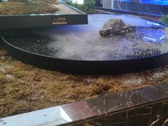 -雅苑中餐厅