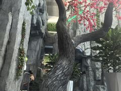 -兴芮温泉度假区