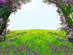 -白鹭湾湿地公园