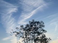 -白石龙音乐公园