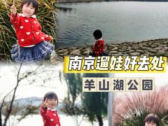 -羊山湖公园