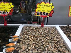 -蚝专家(北滘店)