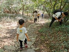 -虞山城墙