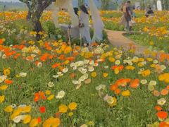 -名花谷生态庄园
