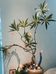 -Your Yoga Pilates·瑜伽普拉提习练室