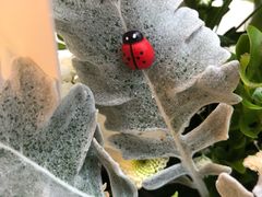 -森野花艺培训·企业团建活动沙龙