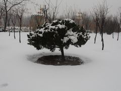-张店儿童公园
