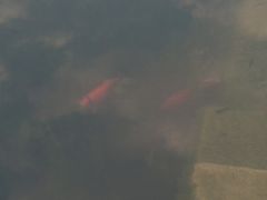 -韶山毛泽东同志故居