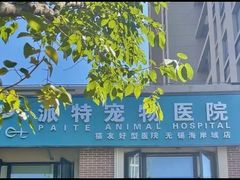 -派特宠物医院(海岸城店)