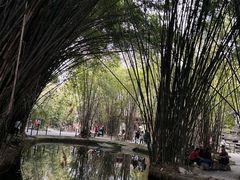 -棠湖公园