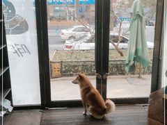 -啡语