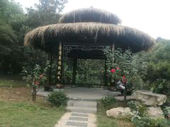 -东湖落雁景区