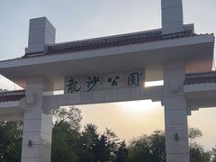-龙沙公园