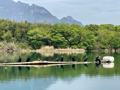 -楠溪江风景名胜区