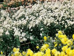 -中国天府农业博览园