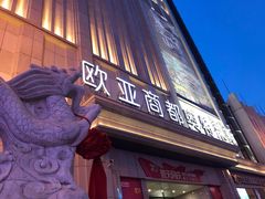 -欧亚商都奥特莱斯(新发路店)