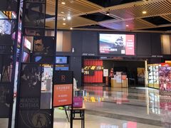 -万达影城(闵行颛桥万达广场杜比影院店)