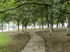 -东北大学(南湖校区)