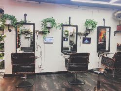 -AFA Hair studio·女士发型设计