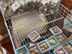 -蓝湾碧波·老字号·疍家非遗海上餐厅